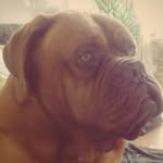 Pat Ellison - @msmisselly - Instagram