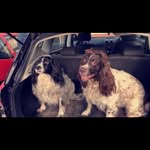 Pat Ellison - @patellison70 - Instagram
