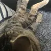 patriciaembree - @patriciaembree - TikTok