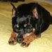Pat-Allen Erwin - Facebook