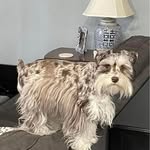 Pat Everett - @pateverett6569 - Instagram