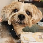 Pat Everett - @pateverett9 - Instagram