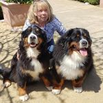 Pat Everett Bishop - @keepsakebmd - Instagram