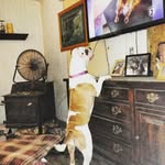 Pat Everson - @everson.pat - Instagram