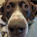 Patti Eyler - Facebook