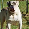 Patti Fairchild - @patti.fairchild - TikTok