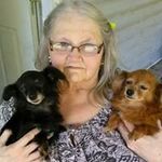 Patricia Farrington - @patricia.farrington.7731 - Instagram