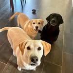Pat Farrow - @pfarrow248 - Instagram