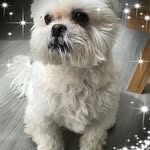 Patricia Farrow - @pat.ray.farrow - Instagram