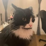Patience Farthing - @patience_farthing - Instagram