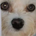Pat Farwell - @farwellpat - Instagram
