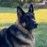 Pat Feeney - @patrick.feeney56 - Instagram