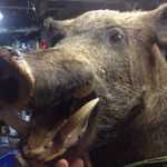 Pat Feeney - @pat.feeney.902 - Instagram