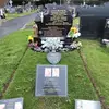 patfeeney2 - @pat.feeney1 - TikTok