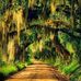 Patricia Feltner - Facebook