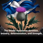 Pat Fenner - @pjfenner - Instagram
