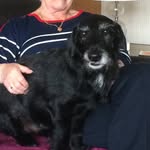 Pat Ferguson - @pat.ferguson.9862 - Instagram