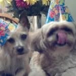 Pat Ferrante - @pmom300 - Instagram