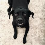 Patti Bear Ferrante - @_champagnepatti - Instagram