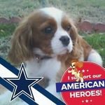 Pat Ferris - @ferris.pat - Instagram