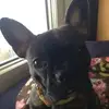 Pat Ferris - @2185049077 - TikTok