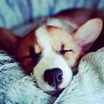Pat Ferro Barnes - @patferrobarnes - Instagram