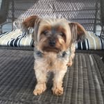 Pat Ferry - @grammaferry - Instagram