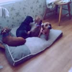 Pat Ferry - @ferry.pat - Instagram
