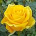 Pat Fielder - Facebook
