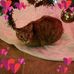 Pat Fielder - Facebook