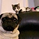Patricia Fielder - @trishfielder - Instagram