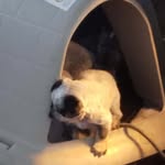 pat finley - @finleytribe16 - Instagram