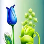 Vera Patel - Facebook