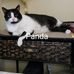 Pat Fiorello - Facebook