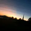 the_Patfish - @the_patfish - TikTok