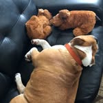 Pat Flagg - @patflagg - Instagram