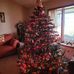 Pat Fleck - Facebook