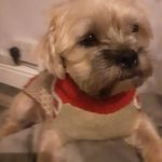 Pat Fleet - @fleetpat - Instagram