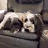 patriciafleet42 - @patriciafleet42 - TikTok