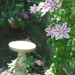 Pat Flickinger - Facebook