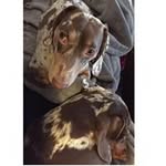 Patricia Flickinger Stauffer - @patricia_lynne17 - Instagram