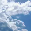pati florek - @pati.florek7 - TikTok