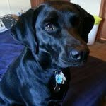 Pat Flory - @vassar16 - Instagram