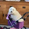 patriciafordham7 - @patriciafordham7 - TikTok
