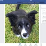 Pat Forrester - @patforrester1937 - Instagram