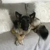 patforrester2455 - @patforrester2455 - TikTok