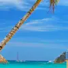 Pat Fort - @pat.fort4 - TikTok