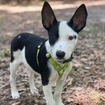 Pat Franklin - @patsyjof44 - Instagram