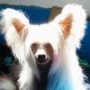 Pat Franklin - @pat.franklin663 - TikTok