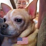Pat Franklin - @pat.franklin.3323 - Instagram